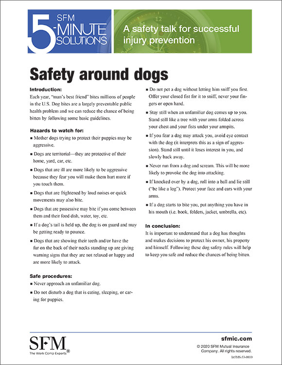 Safety around dogs 5-Minute Solution